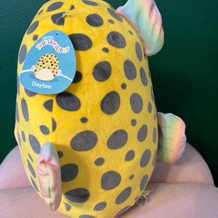 Squishmallows Dayton