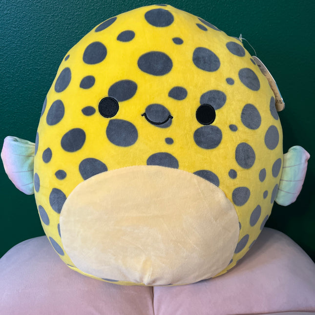Squishmallows 14" Dayton: New with Tags