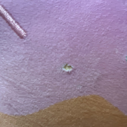 Aphmau MeeMeow 11” Donut Cat, Litter 1: Orphan: small hole