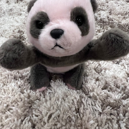 Sunburned Panda, Aurora: Orphan