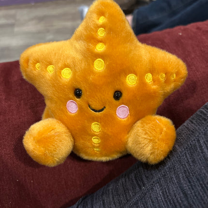 Palm Pals Treasure Starfish: Orphan