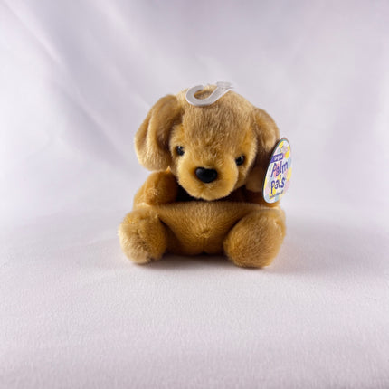 Palm Pals, Sunny Lab, Pet: New with Tags