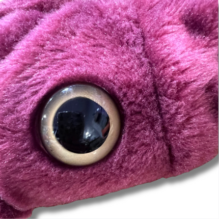 Wild Republicans Squid: Orphan